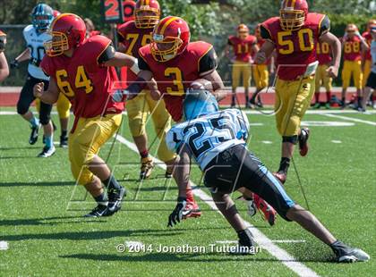 Thumbnail 3 in Vista Ridge @ Northglenn photogallery.