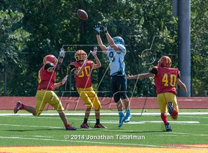 Thumbnail 3 in Vista Ridge @ Northglenn photogallery.