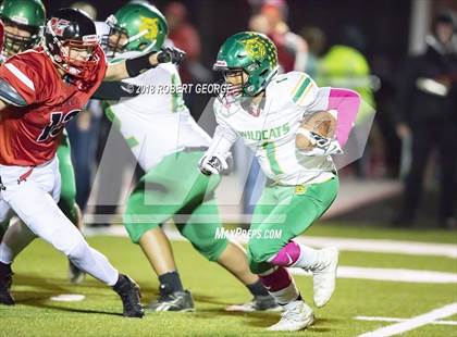 Thumbnail 2 in Hamilton/Audubon @ Muskego photogallery.