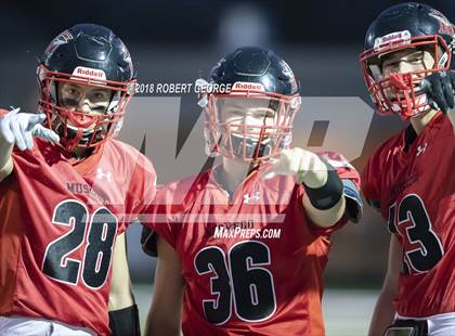 Thumbnail 1 in Hamilton/Audubon @ Muskego photogallery.