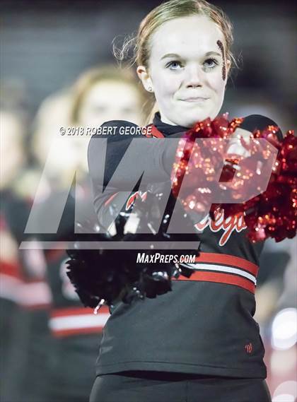 Thumbnail 3 in Hamilton/Audubon @ Muskego photogallery.