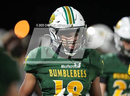 Thumbnail 3 in Hitchcock vs Little River Academy (UIL 3A D1 Football Bi-District) photogallery.