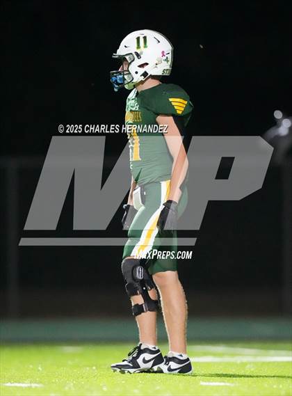 Thumbnail 1 in Hitchcock vs Little River Academy (UIL 3A D1 Football Bi-District) photogallery.