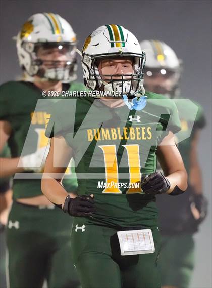 Thumbnail 1 in Hitchcock vs Little River Academy (UIL 3A D1 Football Bi-District) photogallery.