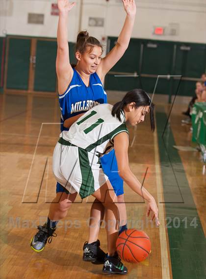 Thumbnail 3 in Millbrook @ Webutuck photogallery.