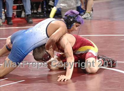 Thumbnail 2 in CIF State Boys Wrestling Championships (Round 1)  photogallery.