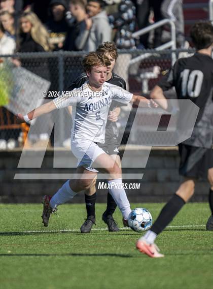 Thumbnail 1 in Shoreland Lutheran vs. Aquinas photogallery.