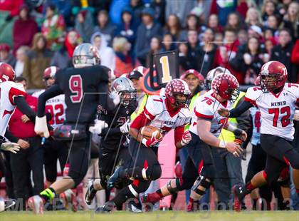 Thumbnail 3 in Weber @ Northridge photogallery.
