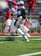 Photo from the gallery "Mitchell @ Westwood"
