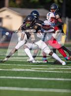 Photo from the gallery "Mitchell @ Westwood"
