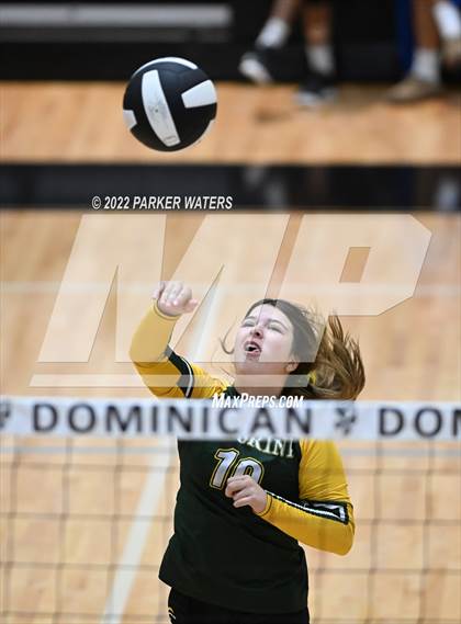 Thumbnail 1 in Cabrini @ Dominican photogallery.