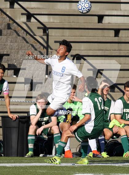 Thumbnail 3 in Wachusett Regional @ Leominster photogallery.