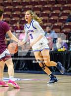 Photo from the gallery "St. Paul Catholic vs. Windham (CIAC M Final)"