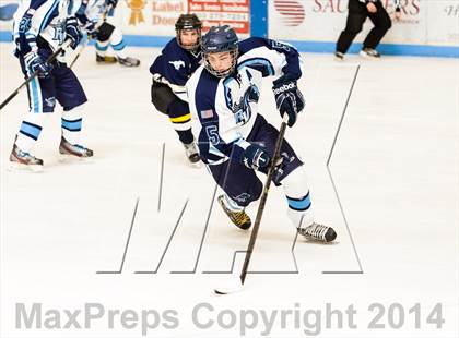 Thumbnail 3 in Mullen @ Ralston Valley photogallery.
