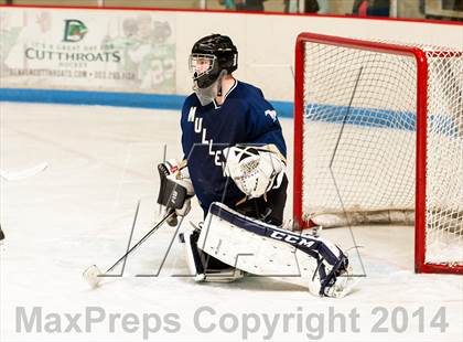 Thumbnail 2 in Mullen @ Ralston Valley photogallery.