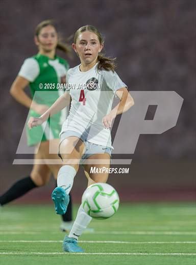 Desert Oasis @ Virgin Valley