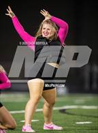 Photo from the gallery "Beaver @ Duchesne"