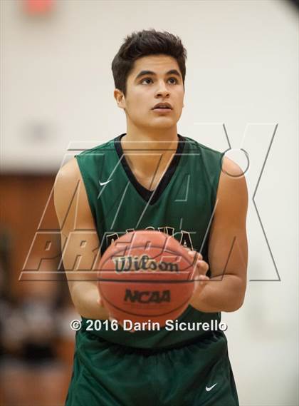 Thumbnail 2 in Basha @ Hamilton  photogallery.