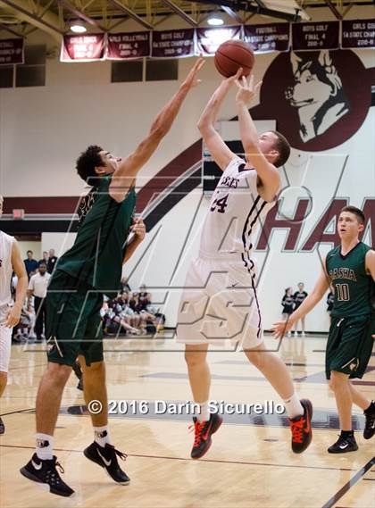 Thumbnail 3 in Basha @ Hamilton  photogallery.