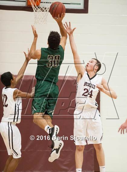 Thumbnail 1 in Basha @ Hamilton  photogallery.