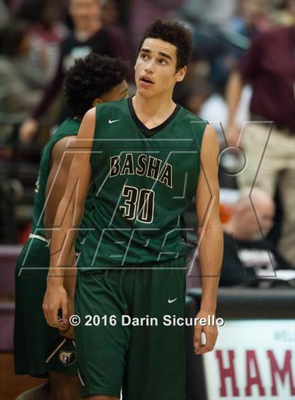 Thumbnail 1 in Basha @ Hamilton  photogallery.