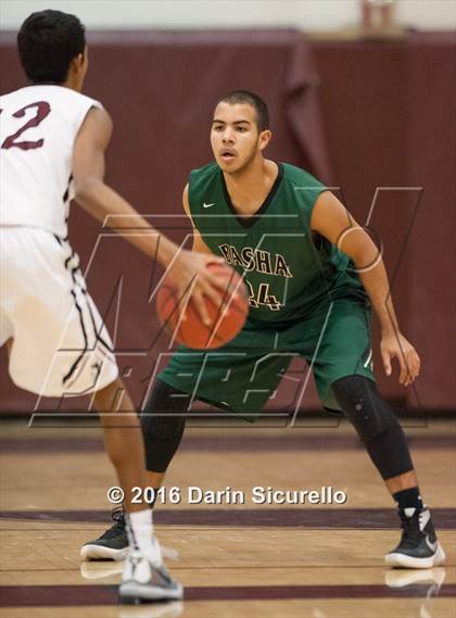 Thumbnail 1 in Basha @ Hamilton  photogallery.