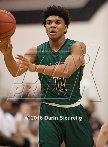 Thumbnail 1 in Basha @ Hamilton  photogallery.