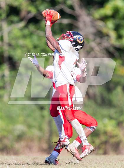 Thumbnail 2 in Crossland @ Potomac photogallery.