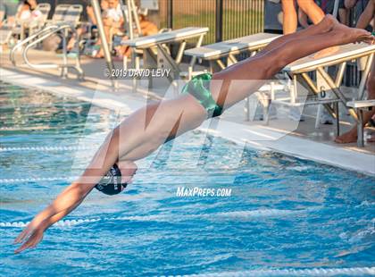 Thumbnail 1 in Basha @ Hamilton photogallery.