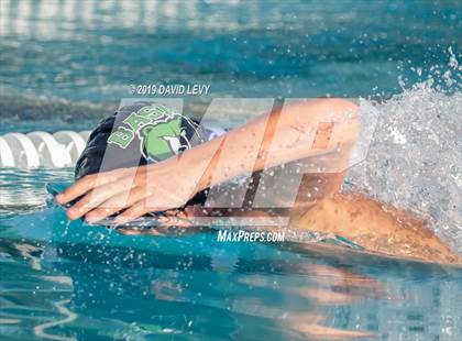 Thumbnail 3 in Basha @ Hamilton photogallery.
