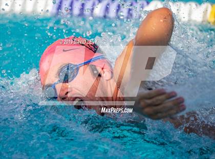 Thumbnail 3 in Basha @ Hamilton photogallery.
