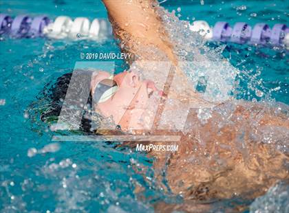 Thumbnail 3 in Basha @ Hamilton photogallery.