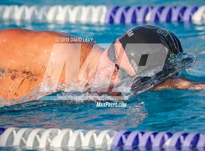 Thumbnail 2 in Basha @ Hamilton photogallery.