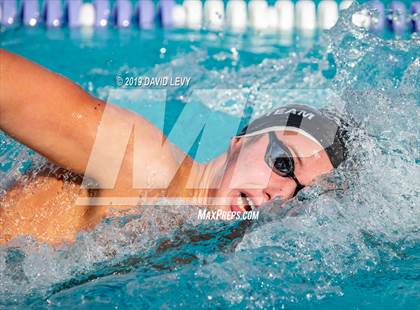 Thumbnail 1 in Basha @ Hamilton photogallery.
