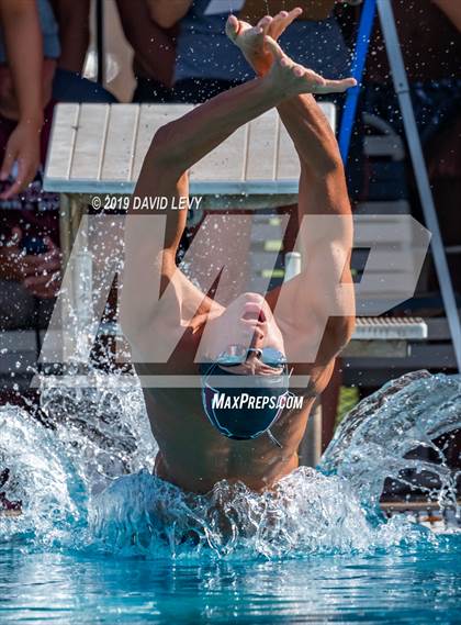 Thumbnail 2 in Basha @ Hamilton photogallery.