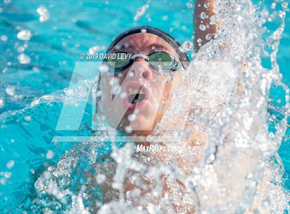 Thumbnail 3 in Basha @ Hamilton photogallery.