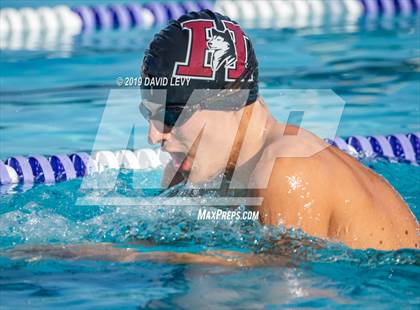 Thumbnail 3 in Basha @ Hamilton photogallery.