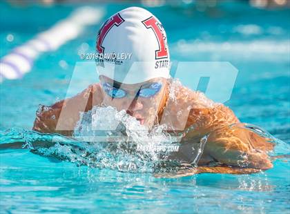 Thumbnail 1 in Basha @ Hamilton photogallery.