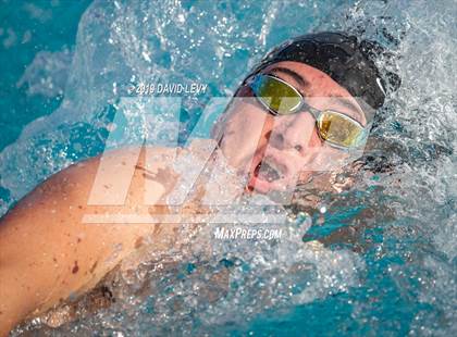 Thumbnail 1 in Basha @ Hamilton photogallery.