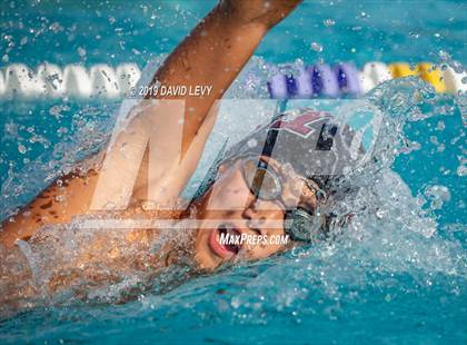 Thumbnail 3 in Basha @ Hamilton photogallery.
