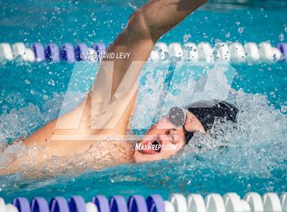 Thumbnail 3 in Basha @ Hamilton photogallery.