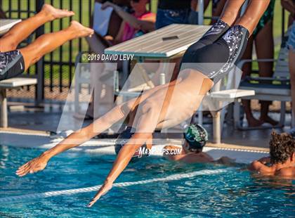 Thumbnail 2 in Basha @ Hamilton photogallery.