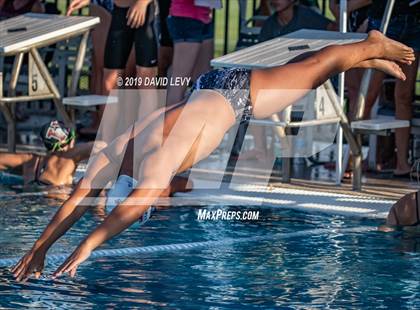 Thumbnail 3 in Basha @ Hamilton photogallery.