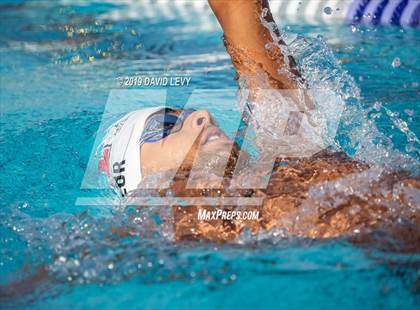 Thumbnail 1 in Basha @ Hamilton photogallery.
