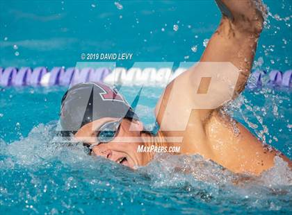Thumbnail 1 in Basha @ Hamilton photogallery.