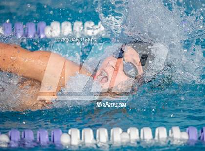 Thumbnail 2 in Basha @ Hamilton photogallery.