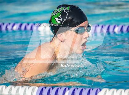 Thumbnail 3 in Basha @ Hamilton photogallery.