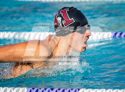 Thumbnail 3 in Basha @ Hamilton photogallery.