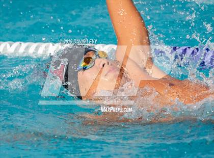 Thumbnail 3 in Basha @ Hamilton photogallery.