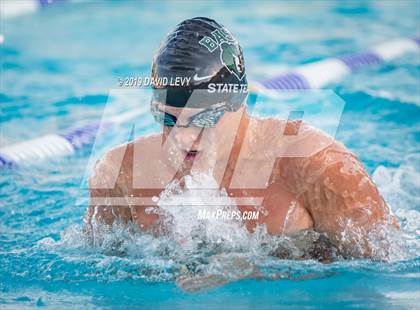 Thumbnail 1 in Basha @ Hamilton photogallery.